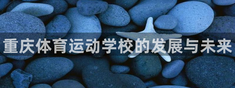 球王会体育：重庆体育运动学校的发展与未来
