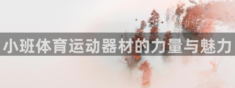 球王会体育：小班体育运动器材的力量与魅力