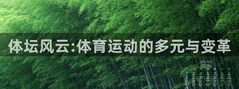 球王会体育：体坛风云:体育运动的多元与变革