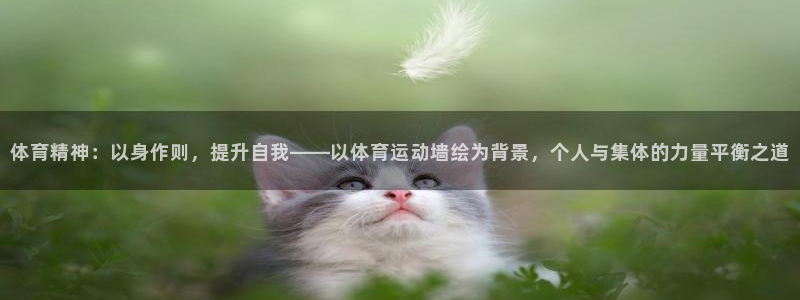 球王会体育：体育精神：以身作则，提升自我——以体育运动墙绘为背景，个人与集体的力量平衡之道